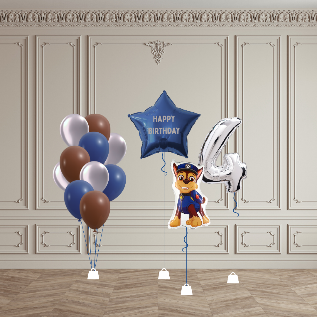 Set "Pat'Patrouille"